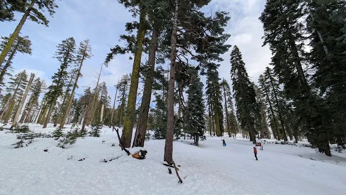 Lumberyard Picnic Area 5