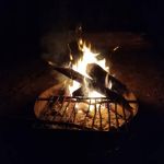 Bear River Lake Resort