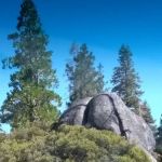 USFS Sugar Pine Point Campground