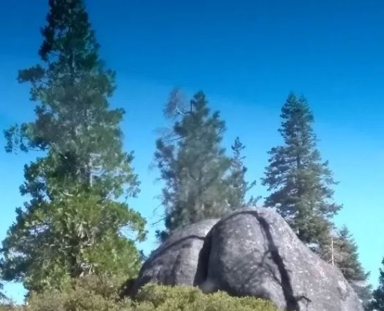 USFS Sugar Pine Point Campground