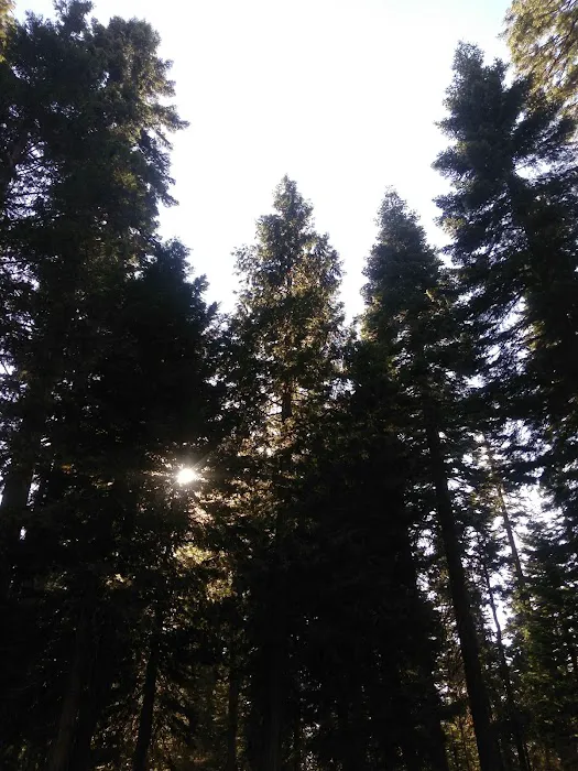 Bear River Group Campground 0