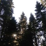 Bear River Group Campground