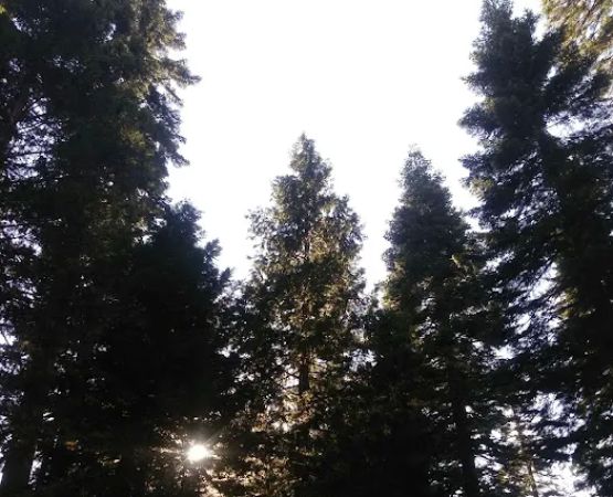 Bear River Group Campground