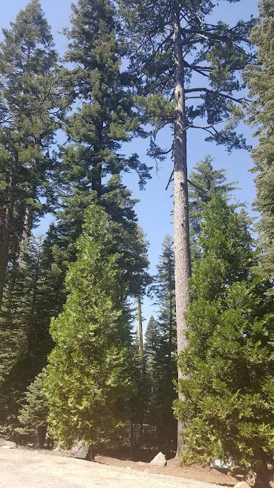 Bear River Group Campground 4