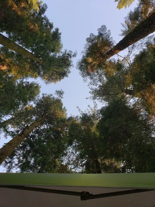 Bear River Group Campground 9