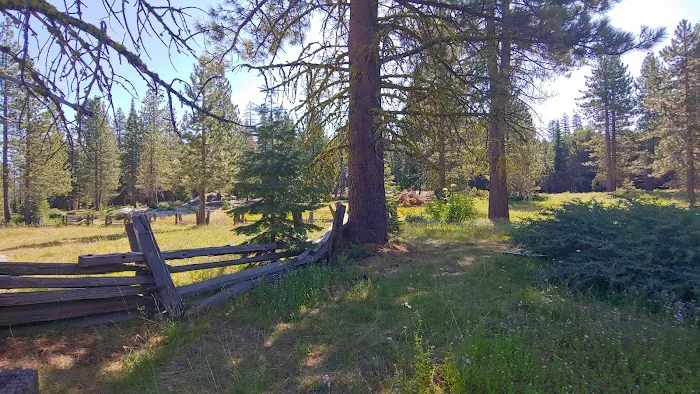 Pipi Campground 3