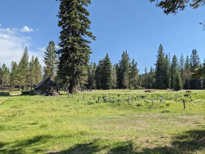 Pipi Campground 4