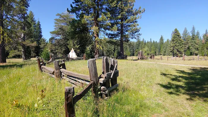Pipi Campground 6