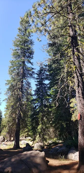 Pipi Campground 0