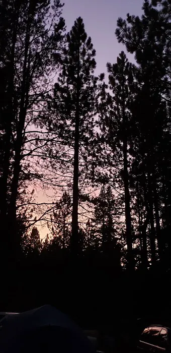 Pipi Campground 1