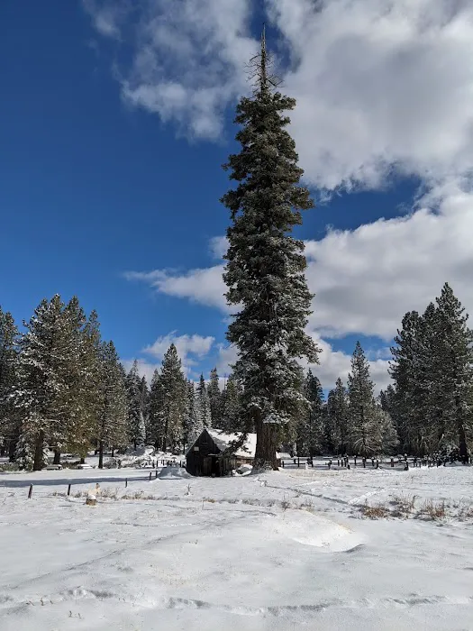 Pipi Campground 7