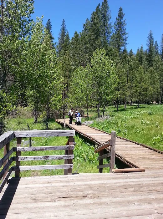 Pipi Campground 8