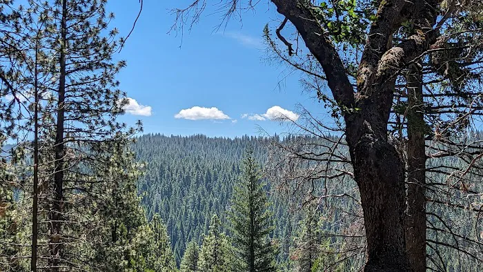 Pipi Campground 11
