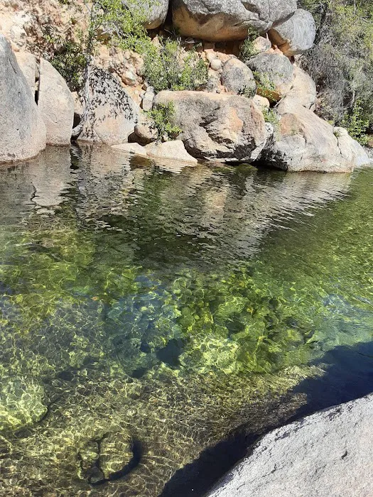 Mokelumne River Campground 5