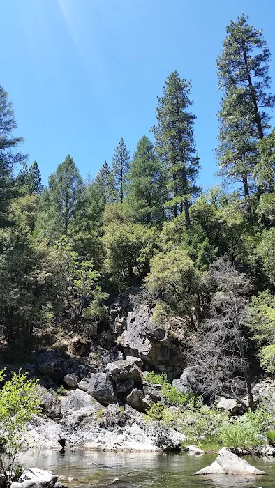 Mokelumne River Campground 8
