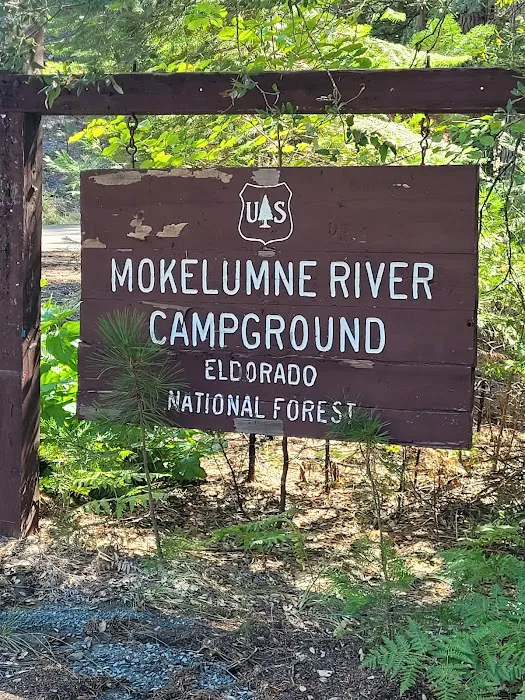 Mokelumne River Campground 7