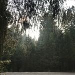 Sopiago Springs Resort