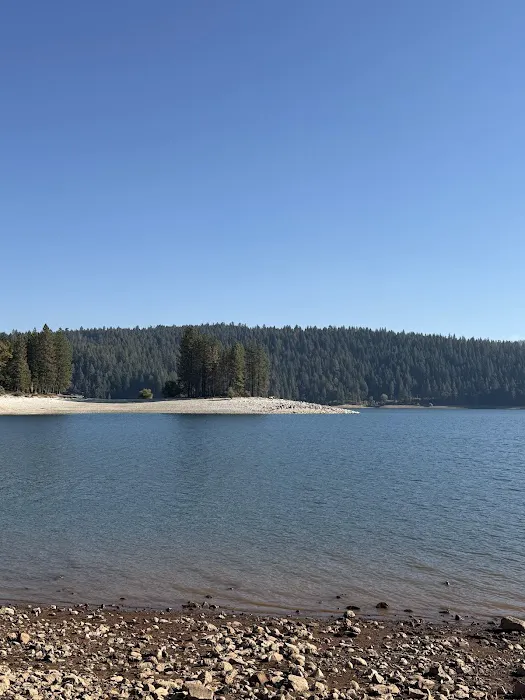 Pinecone Area 8