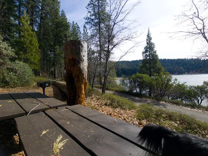 Pinecone Area 1
