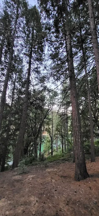 Sierra Area 1
