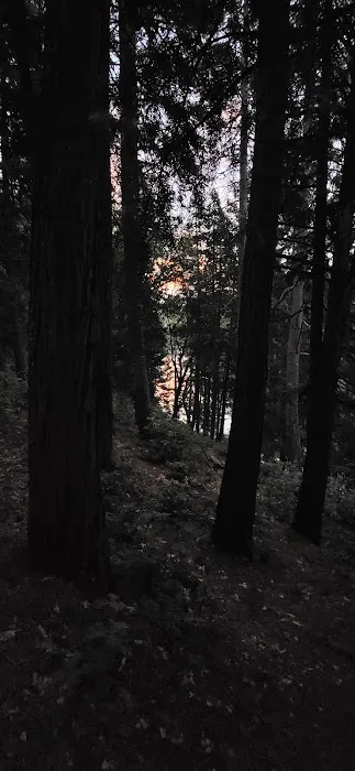 Sierra Area 0