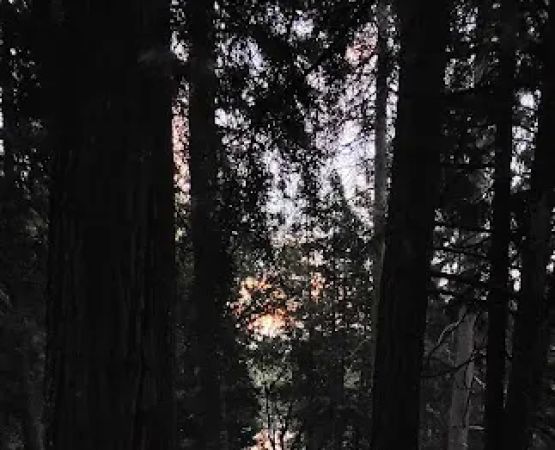 Sierra Area