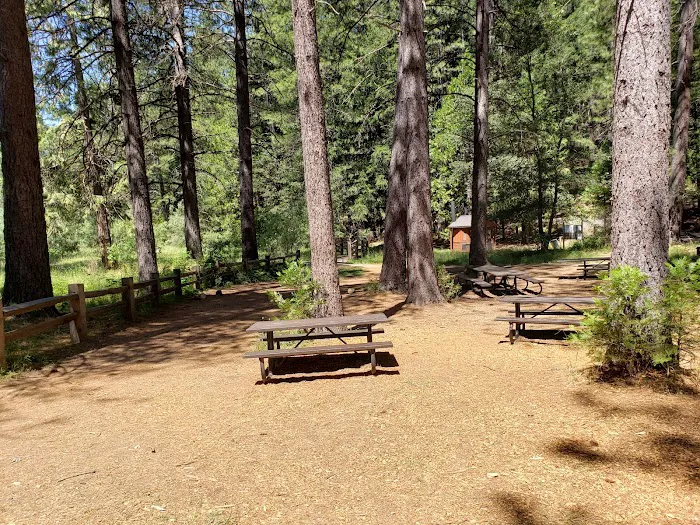 Hazel Meadow 8