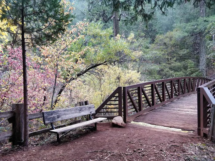 Hazel Meadow 6