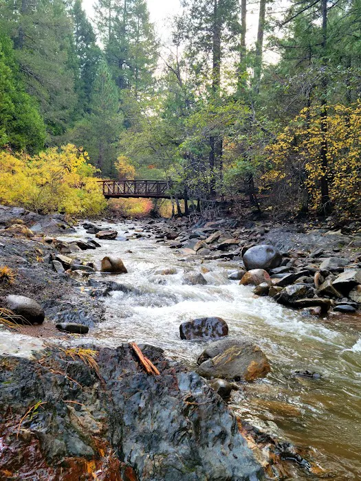 Hazel Meadow 5