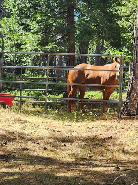Black Oak Equestrian Camp 7