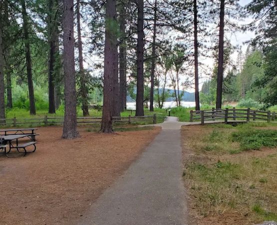 Hazel Creek Area