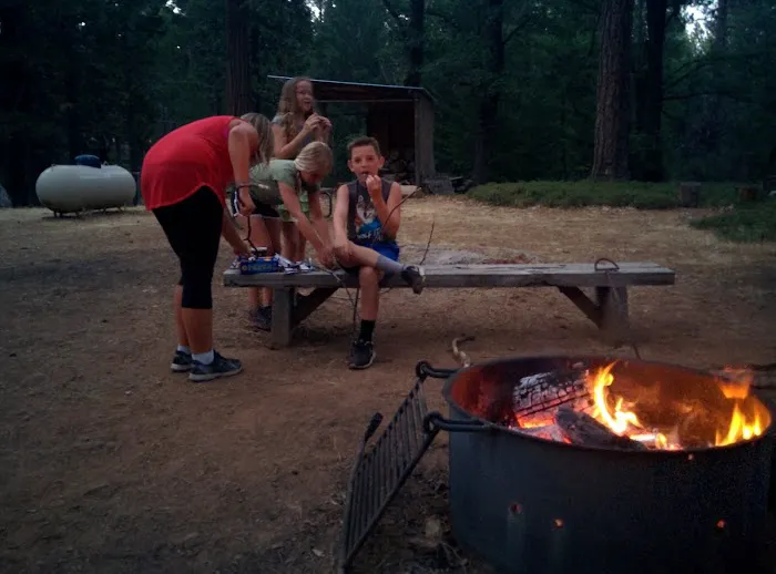 Sly Guard Cabin 0