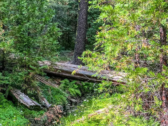 Lone Rock Campground 2