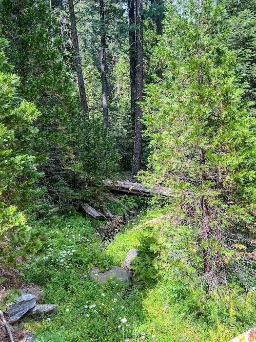 Lone Rock Campground 5