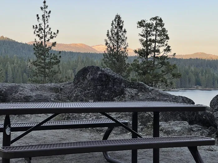 Yellow Jacket Campground 1