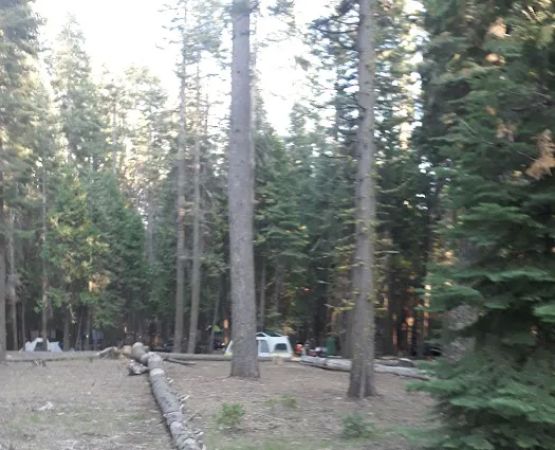 Yellow Jacket Campground