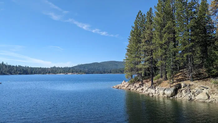 Yellow Jacket Campground 6