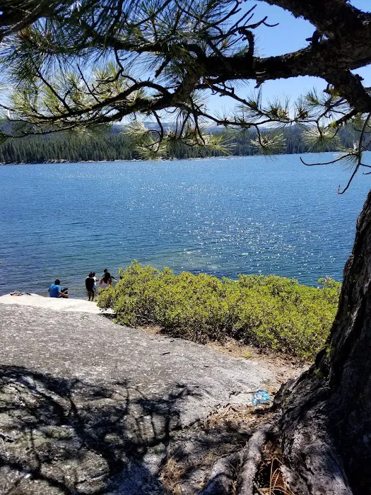 Yellow Jacket Campground 8