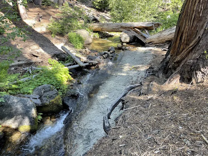 Yellow Jacket Campground 4