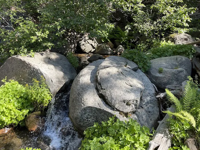 Yellow Jacket Campground 3
