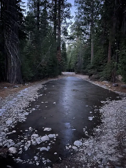 Yellow Jacket Campground 7