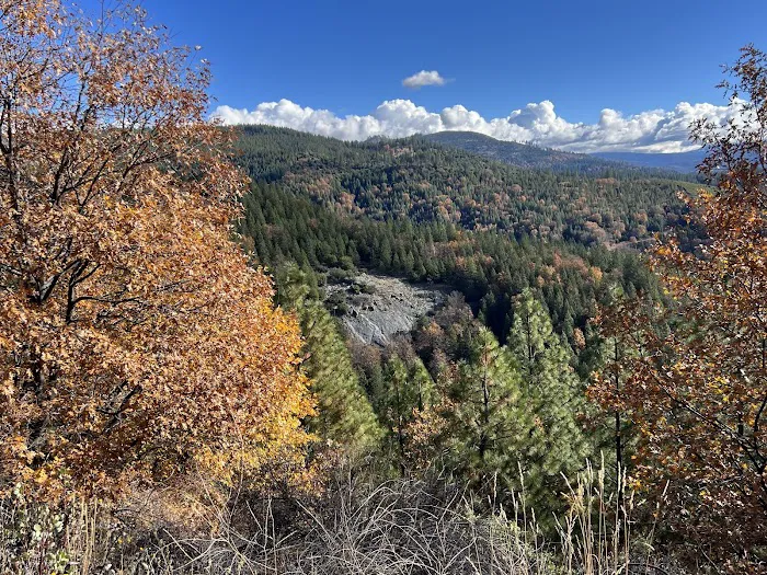 Yellow Jacket Campground 9