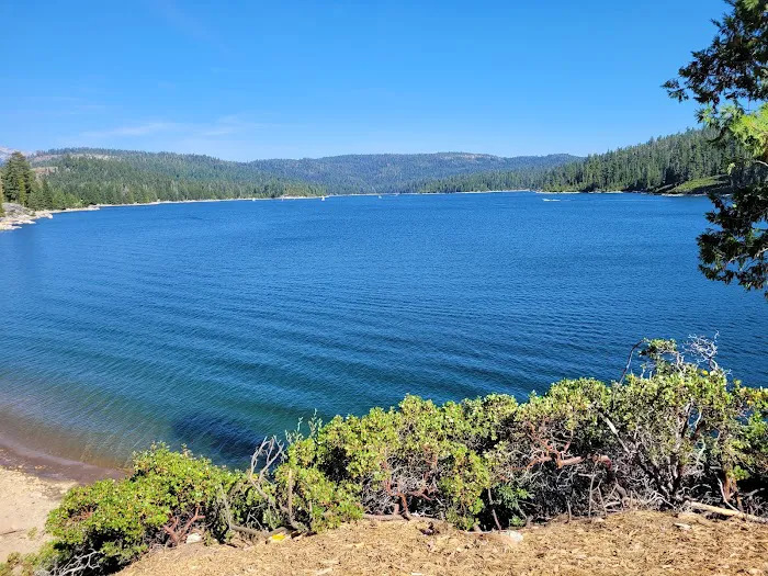 Ice House Campground 4