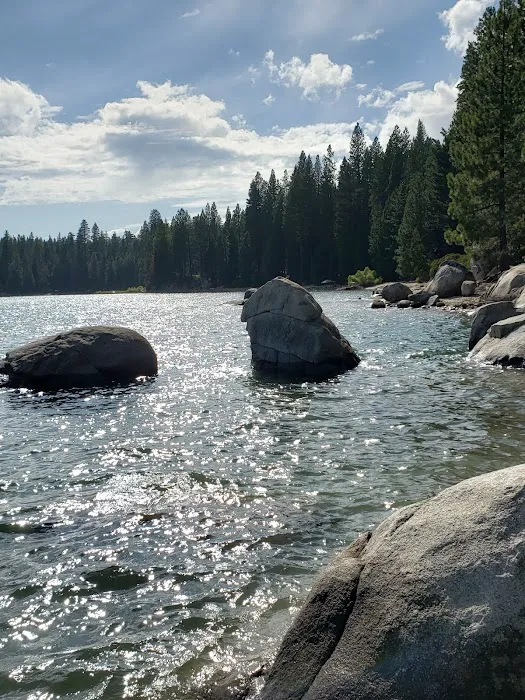 Ice House Campground 8