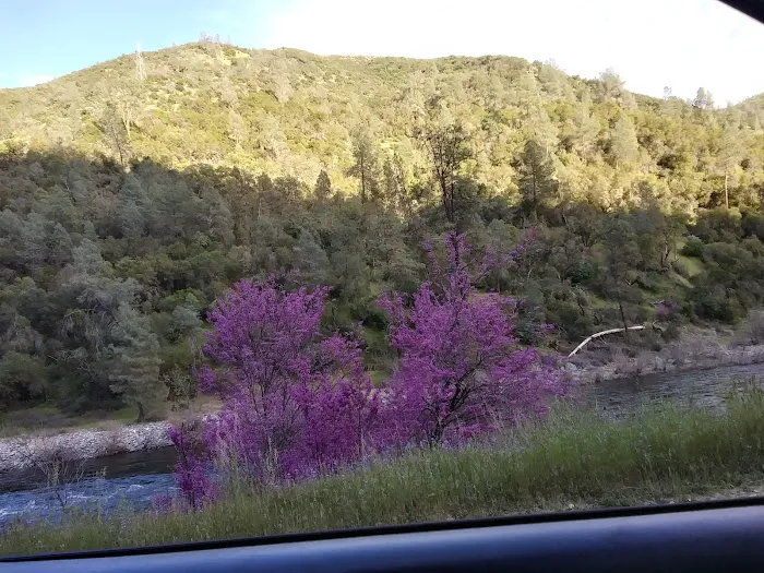 Railroad Flat Campground 1