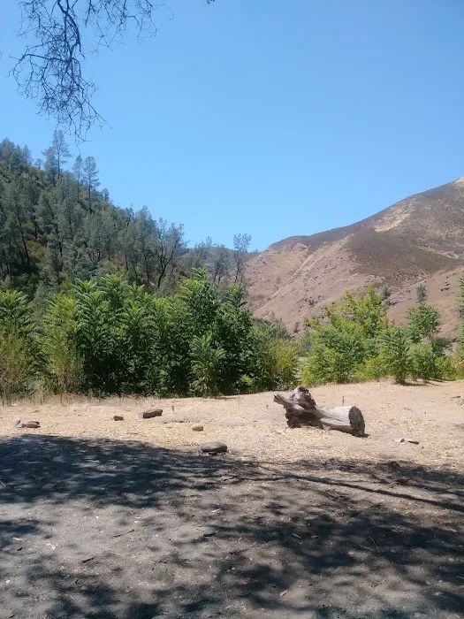 Railroad Flat Campground 8
