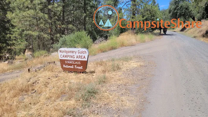 Montgomery Gultch Campground 0