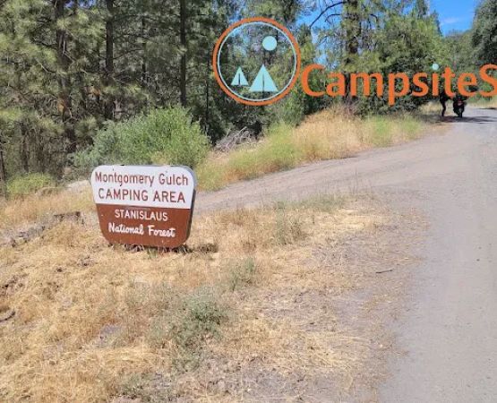 Montgomery Gultch Campground