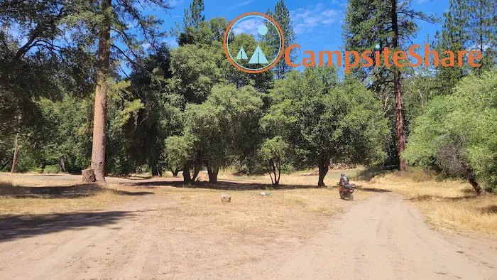 Montgomery Gultch Campground 1