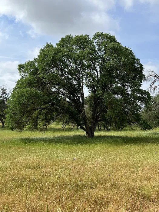 Kingdom Historical Trust Inc (KHTI) event site 3